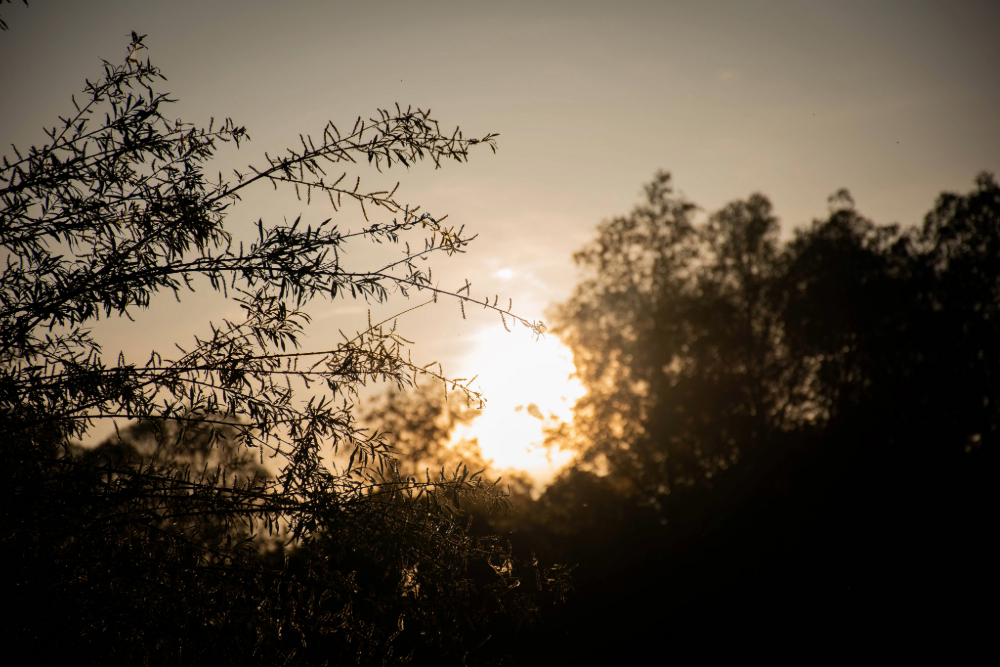 Bild des Fotomappen Projekts ,Sunset'